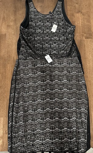 Ann taylor sequin - ann, lace
