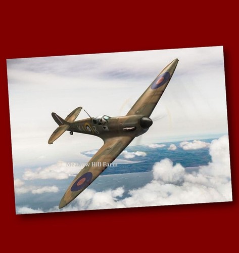 Sticker raf spitfire ww2 - raf,
