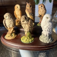 Royal Doulton 6x Owl Figurines