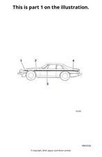 Jaguar Genuine Wing Coachline Tape Decal Sticker Coach Line Stripe BCC4605