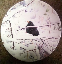 Wedgwood Danbury Mint