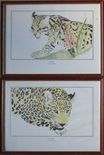 Framed and glazed big - 2,