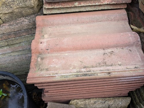 New double roman - double, roof