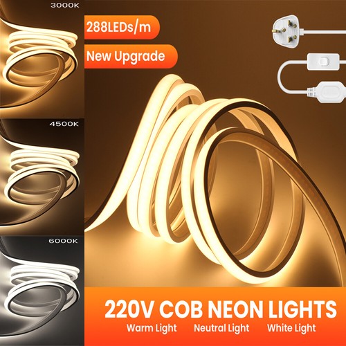 Super bright 220v neon - super,