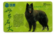 BELGIAN SHEPHERD DOG