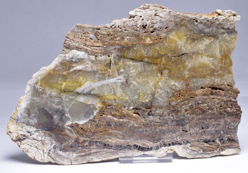 Microbial mat dresser fmt - mat,,