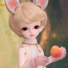 1/6 Full Set BJD Doll Joint