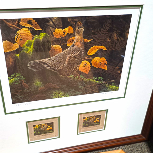 Gordon signed numbered - signed, bird
