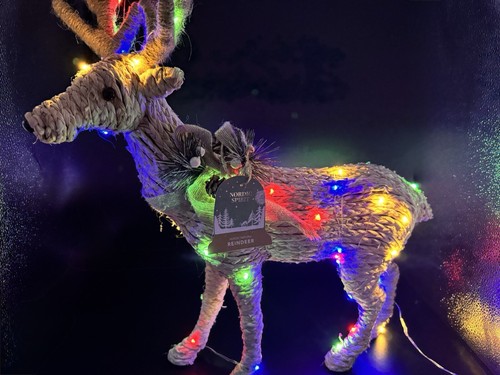 Multi led reindeer christmas - multi,