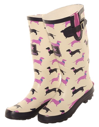 Ladies sausage dog - ladies,
