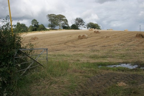 Photo harvested field - a3,