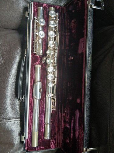 Buffet crampon silver plate - buffet,