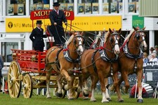 Photo A1 The South of England