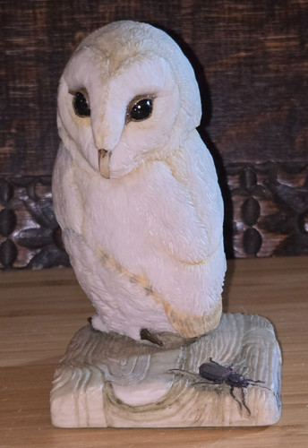 Teviotdale scotland owl - scotland,