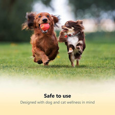 Professional-Grade Dog Nail