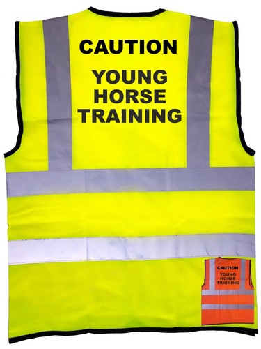 Young horse training - horse, print
