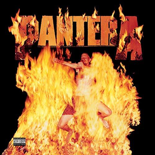 Pantera reinventing the - reinventing,