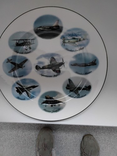 Bone china plate - bone,