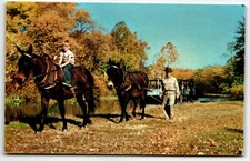 Postcard Mule Drawn Barge