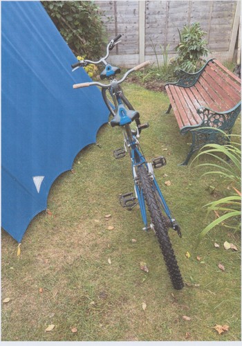 Used tandem bicycle - tandem, speed