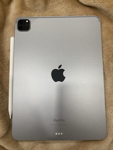 Ipad pro 256gb - ipad,