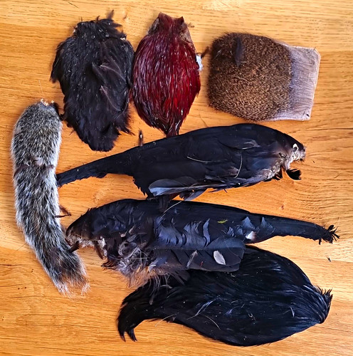Fly tying feathers job - fly,