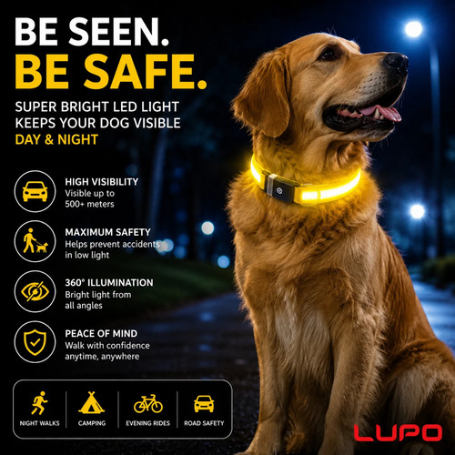 Led dog pet collar - dog,