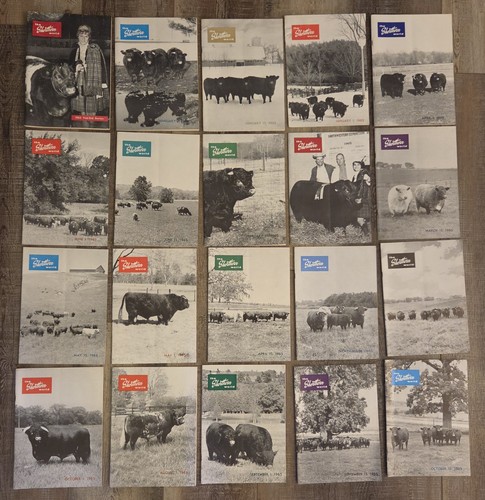 Shorthorn world cattle - world,