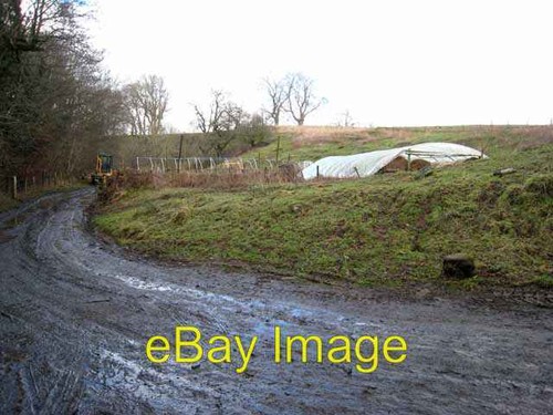 Photo 6x4 hay - 6x4, bales