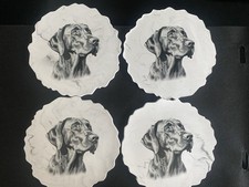 Hungarian Vizsla Grey Marble