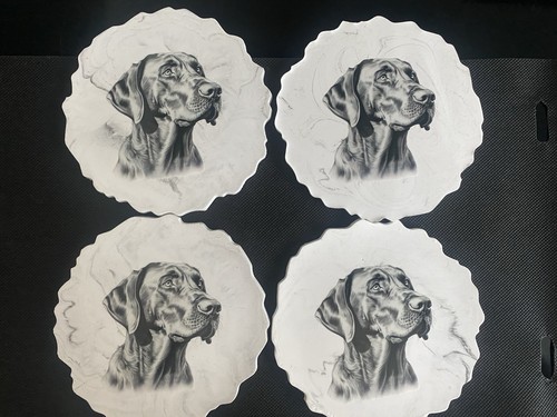Hungarian vizsla grey marble - grey,