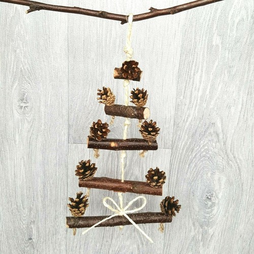 Tree pine fir cones pet - of,