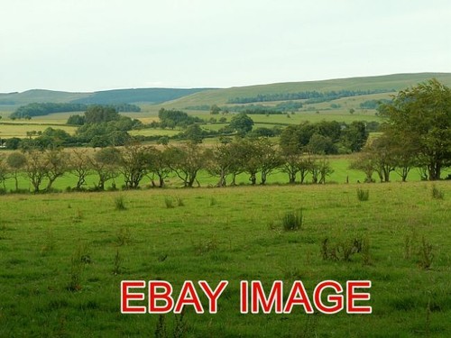 Photo kirkcambeck field - photo,