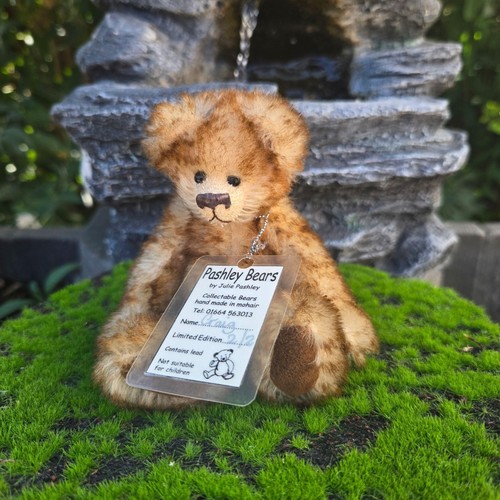 Pashley bears craig - craig, mohair