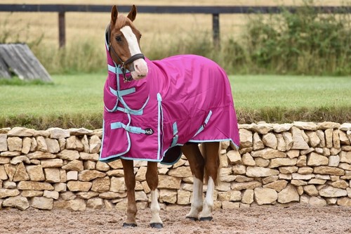 Lightweight turnout rug - rug, no