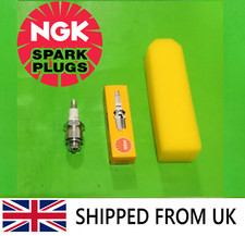 Service Kit Tecumseh BVS &