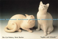 D248432 The Cat Pottery West