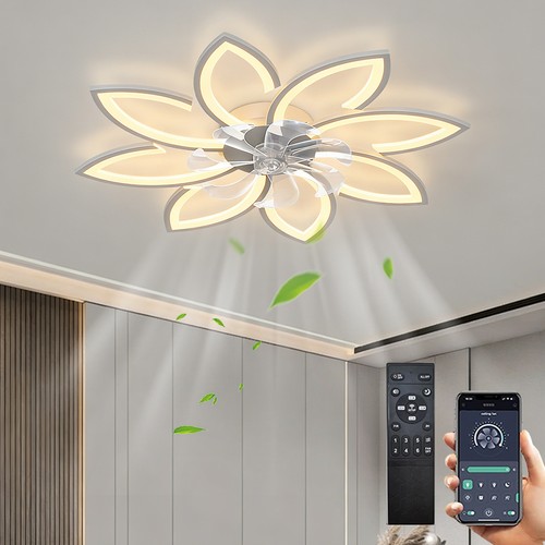 Low profile ceiling fan - profile, light