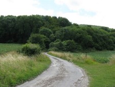 Photo 6x4 The car park road