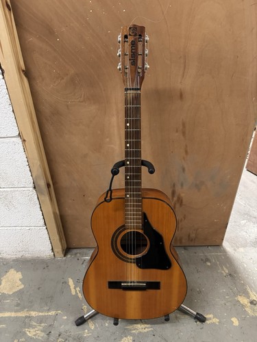 Sisme acoustic guitar - acoustic, in