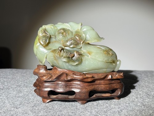 Chinese cabbage mantis - chinese,