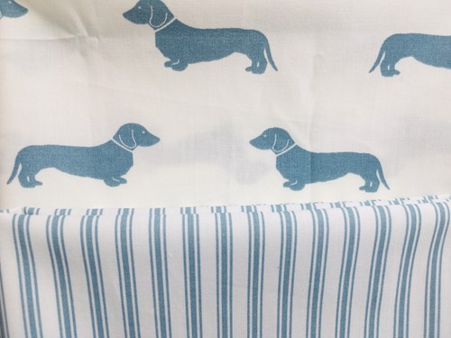 Emily bond dachshund dog - emily,