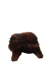 Ruby And Ed Women's Hat Brown Other with Polyester Beanie