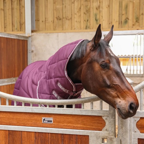 Shires tempest original - tempest, 300g
