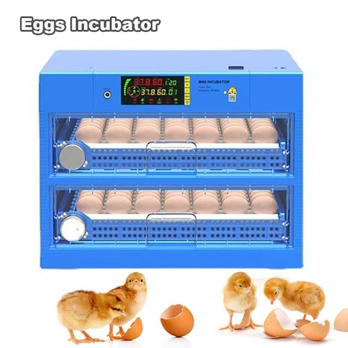 500pcs digital automatic eggs - digital,