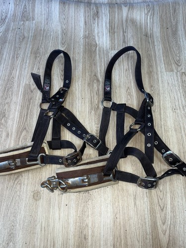 Cottage craft lunging cavesson - craft,
