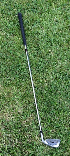 Vintage stinger iron - vintage,