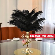 10PCS 25-30cm Black Ostrich