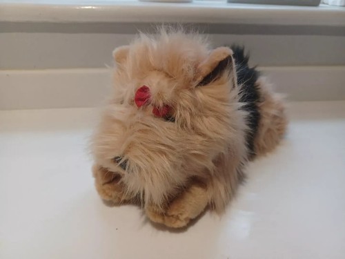 Keel toys sasha - toys,