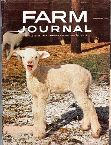 Vintage farm journal - vintage, magazine